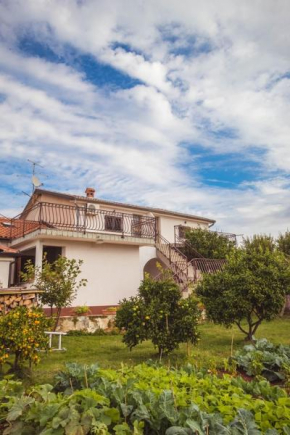 Apartment Luciana 2, Savudrija